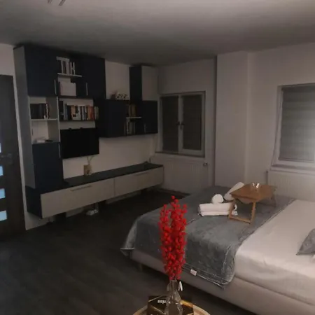 Garsoniera Mihaela *