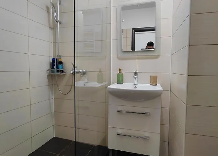 Garsoniera Mihaela Apartment *