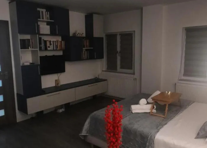 Garsoniera Mihaela *