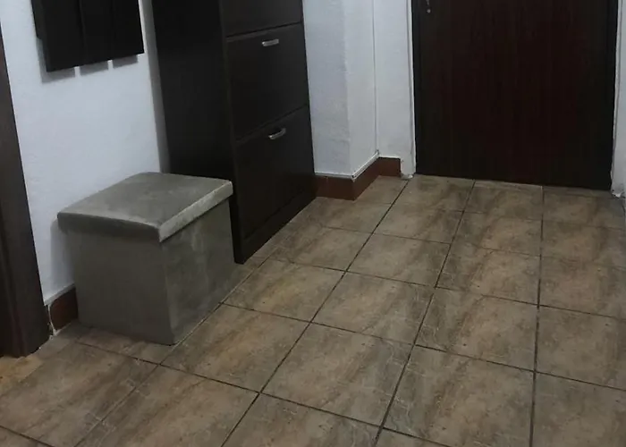 Garsoniera Mihaela Apartment