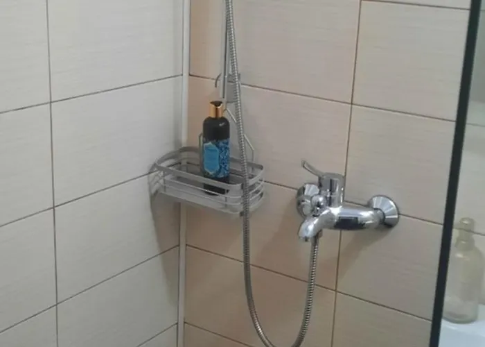 Garsoniera Mihaela Apartment